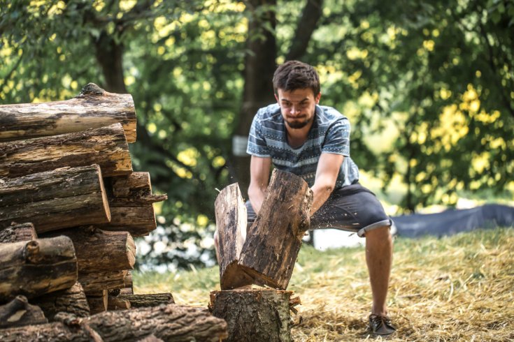 Why Tree Removal Isn’t a DIY Job (Even If You’re Handy)